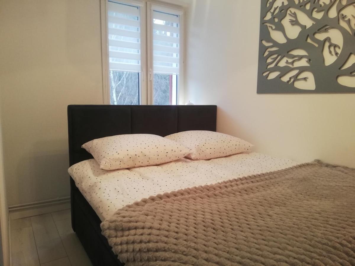Apartament Stella Duszniki Zdroj Ngoại thất bức ảnh