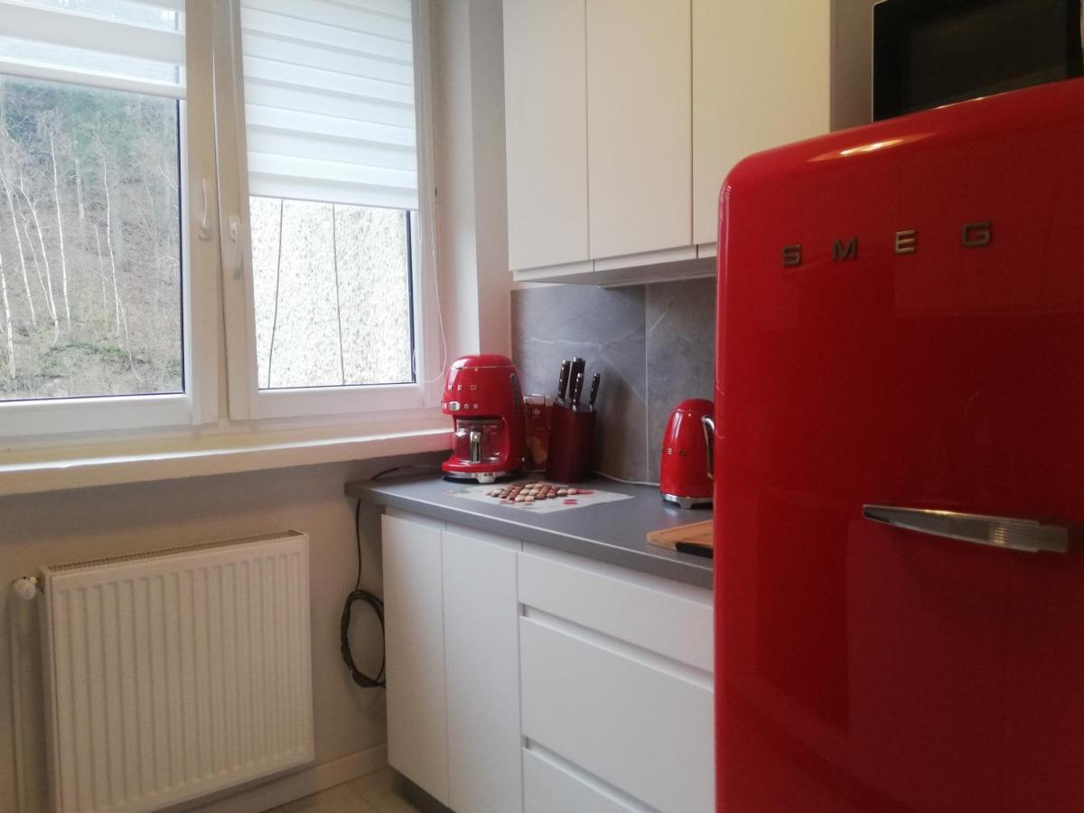 Apartament Stella Duszniki Zdroj Ngoại thất bức ảnh